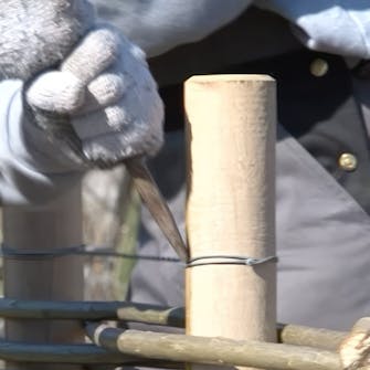 pileflet hegn pileflet hegn